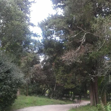 Appartement Garitsa Bay