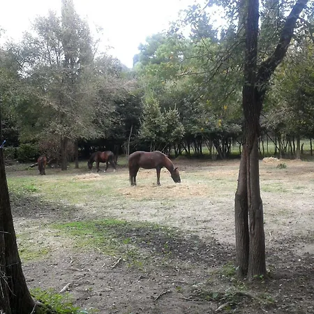 Appartamento Garitsa Bay *